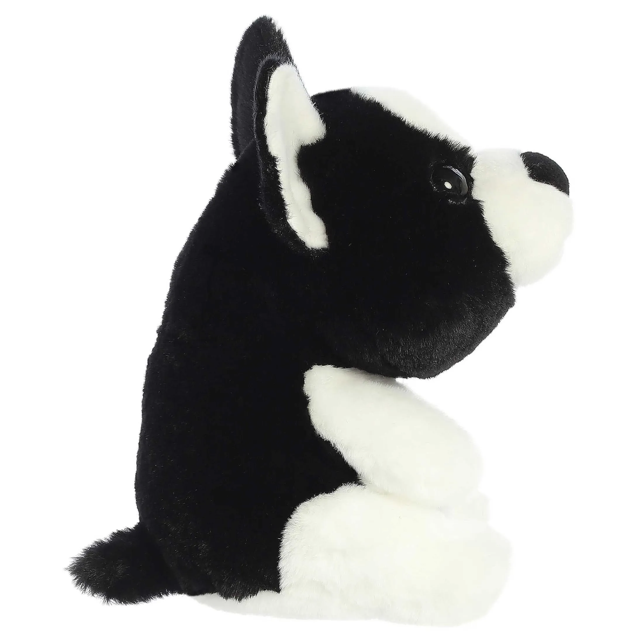 Aurora® - Boop - 9" Jackson