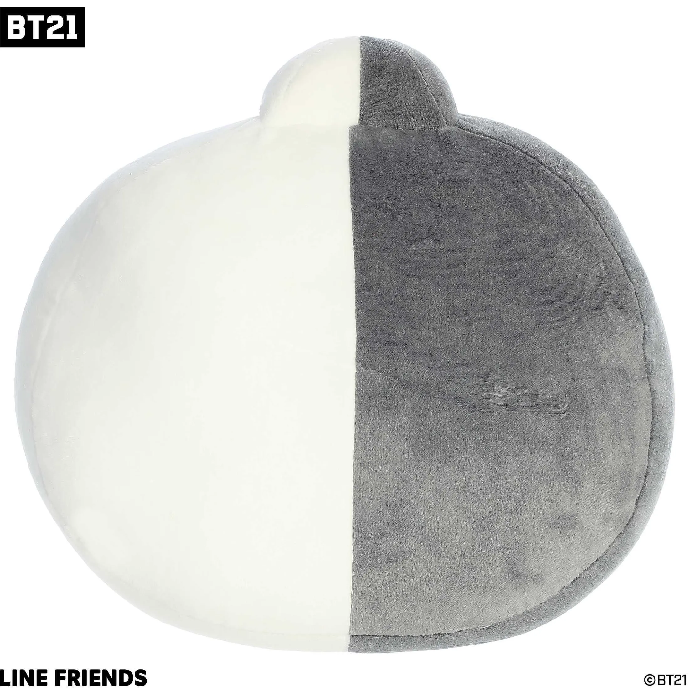 Aurora® - Bt21 - 12" Van