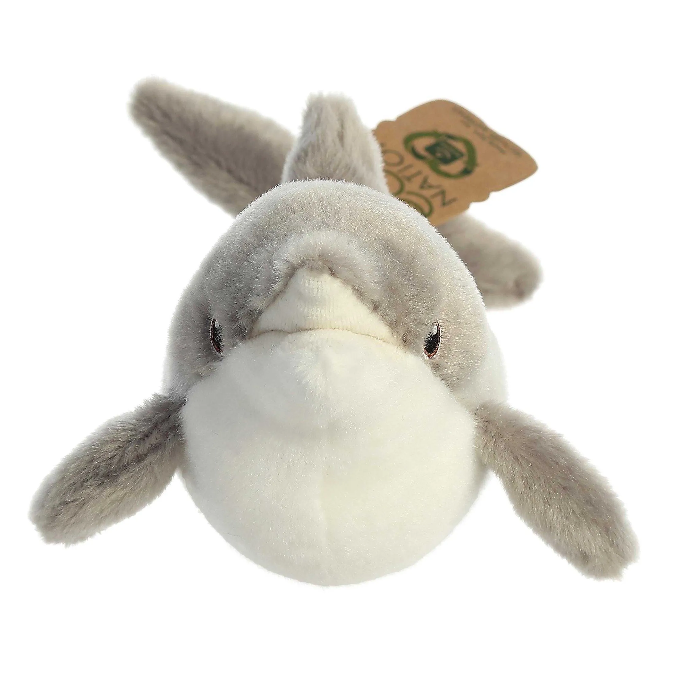 Aurora® - Eco Nation - 15" Dolphin