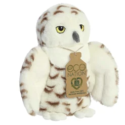 Aurora® - Eco Nation - 8