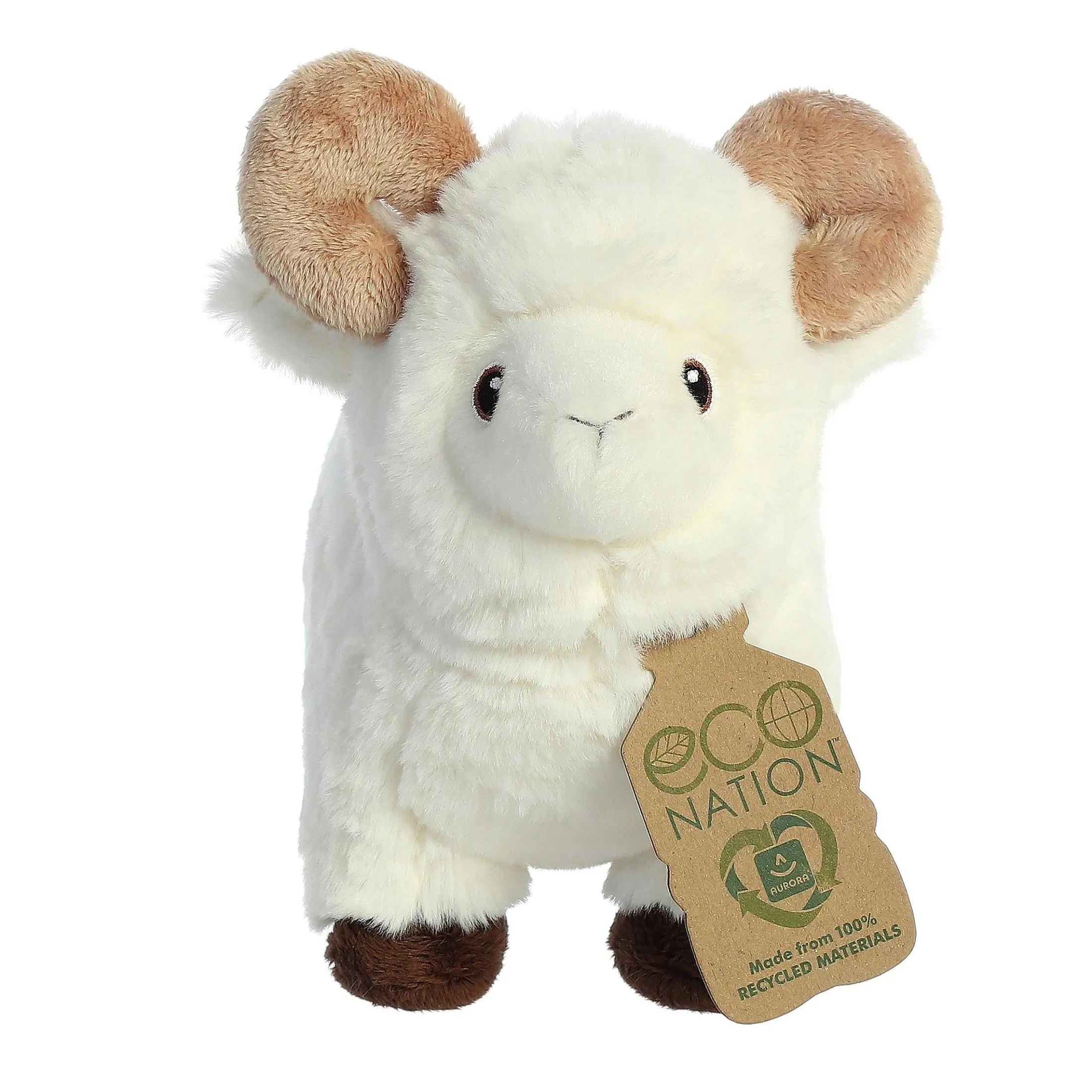 Aurora® - Eco Nation - 8" Ram