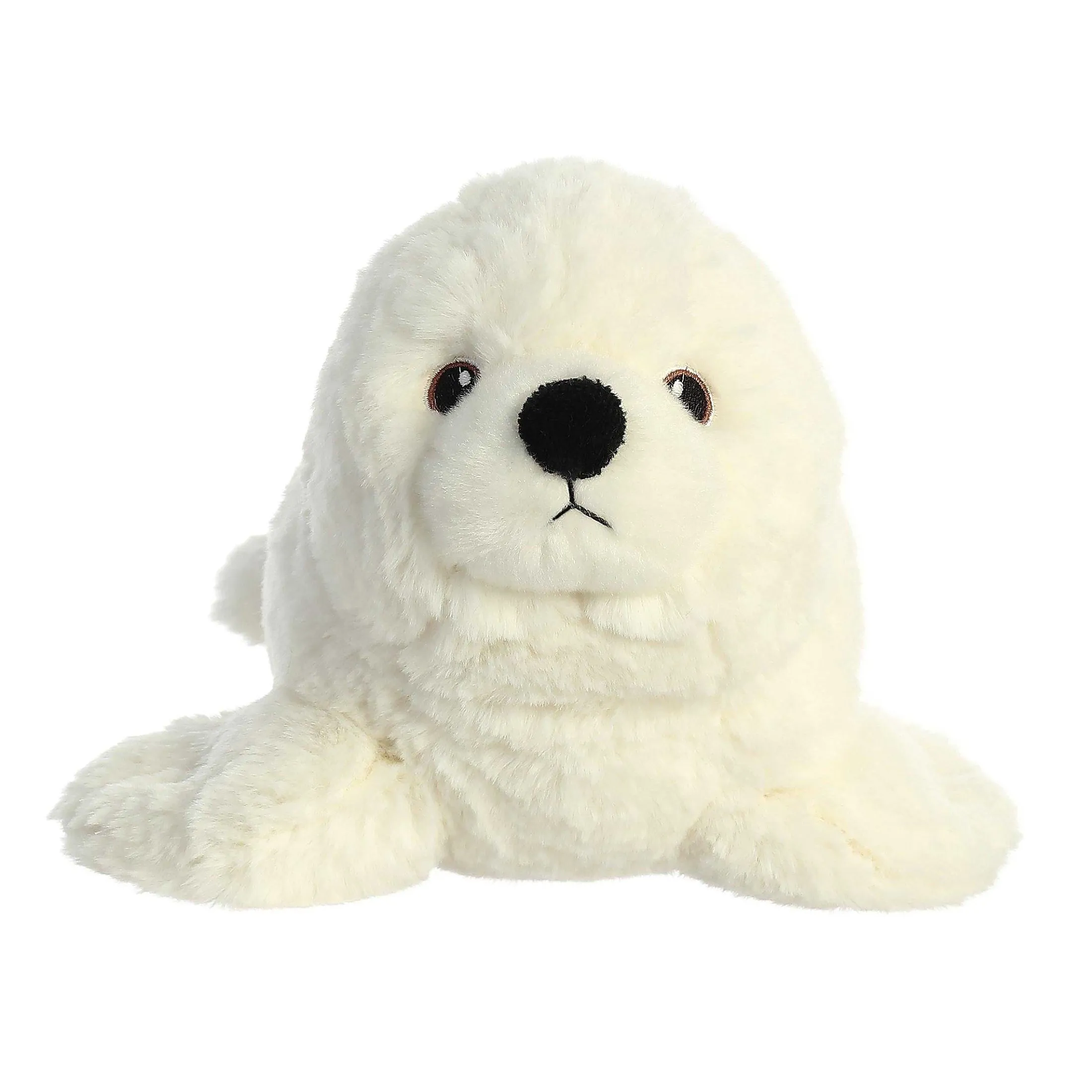 Aurora® - Eco Nation - 12" Seal