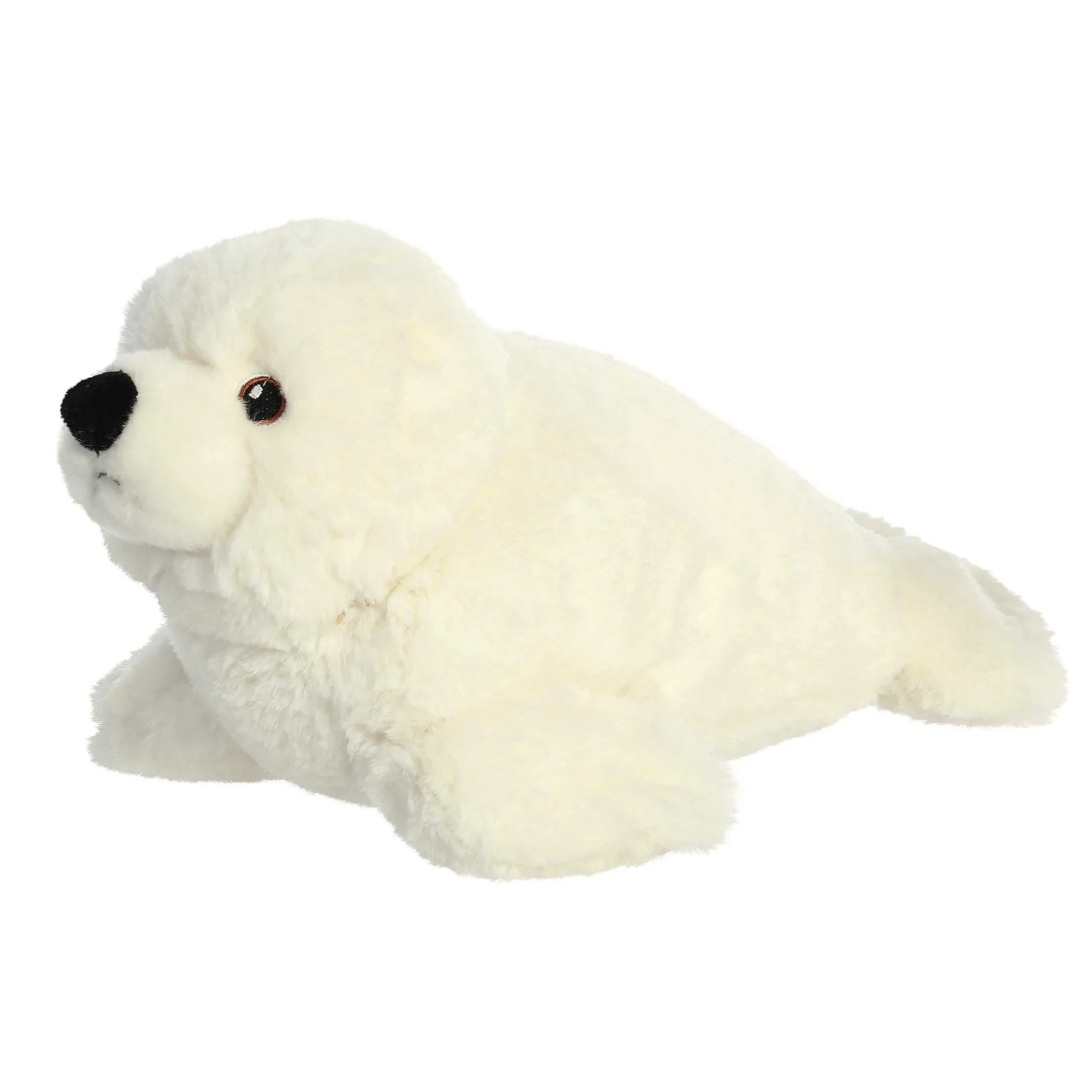 Aurora® - Eco Nation - 12" Seal