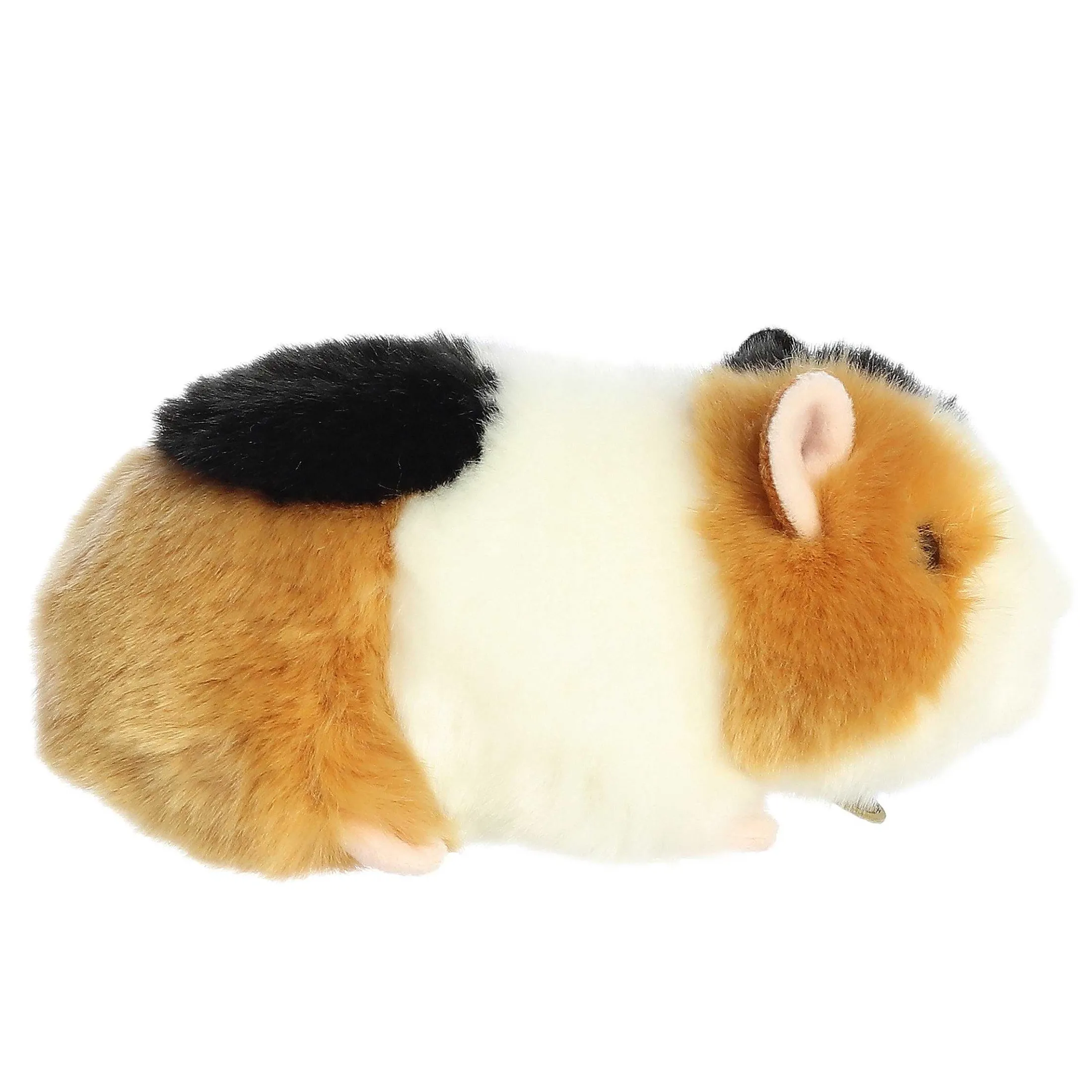 Aurora® - Miyoni® - 7.5" American Guinea Pig