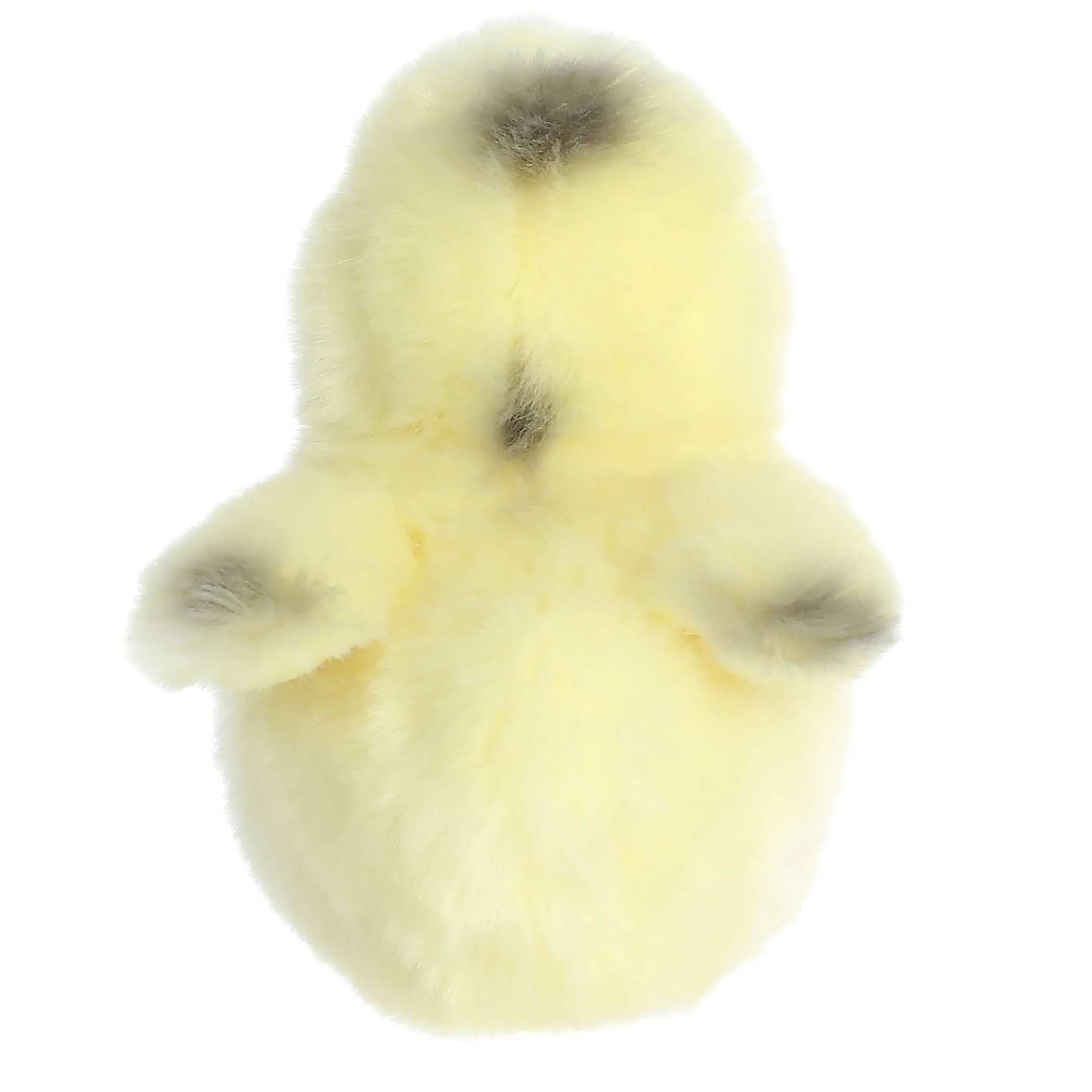 Aurora® - Miyoni® Tots - 5.5" Ameraucana Chick