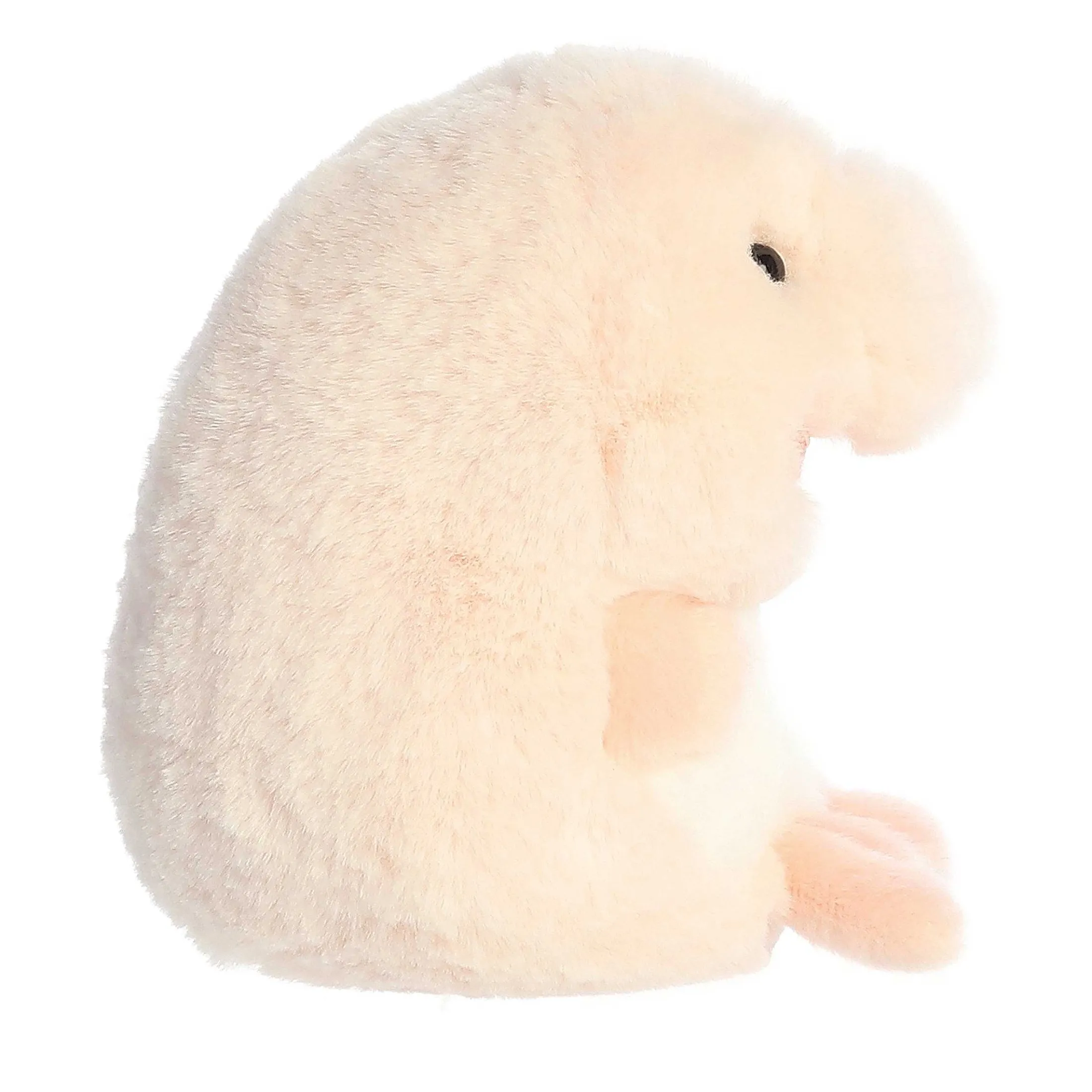 Aurora® - Rolly Pet - 5" Bailey Blobfish