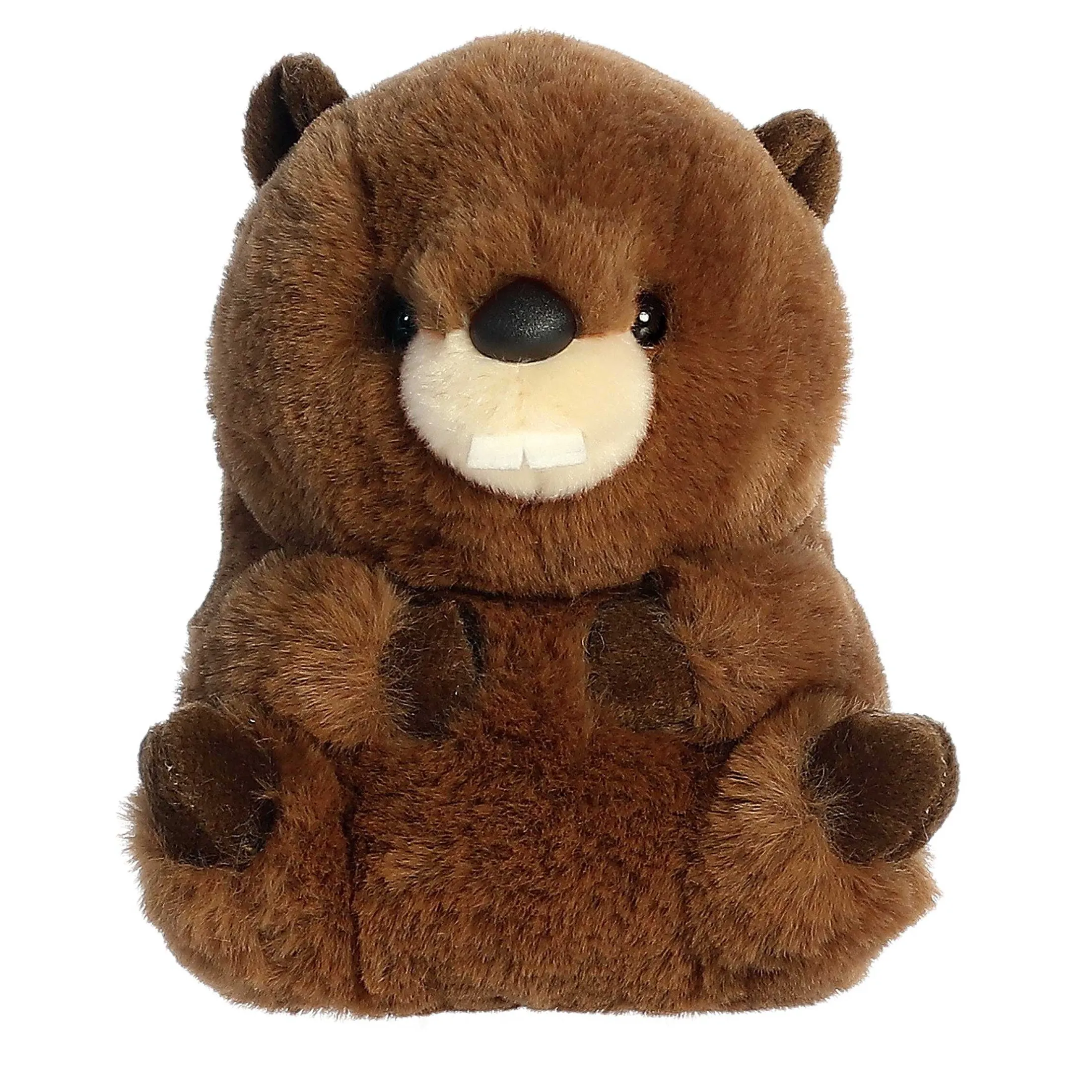 Aurora® - Rolly Pet - 5" Beethoven Beaver