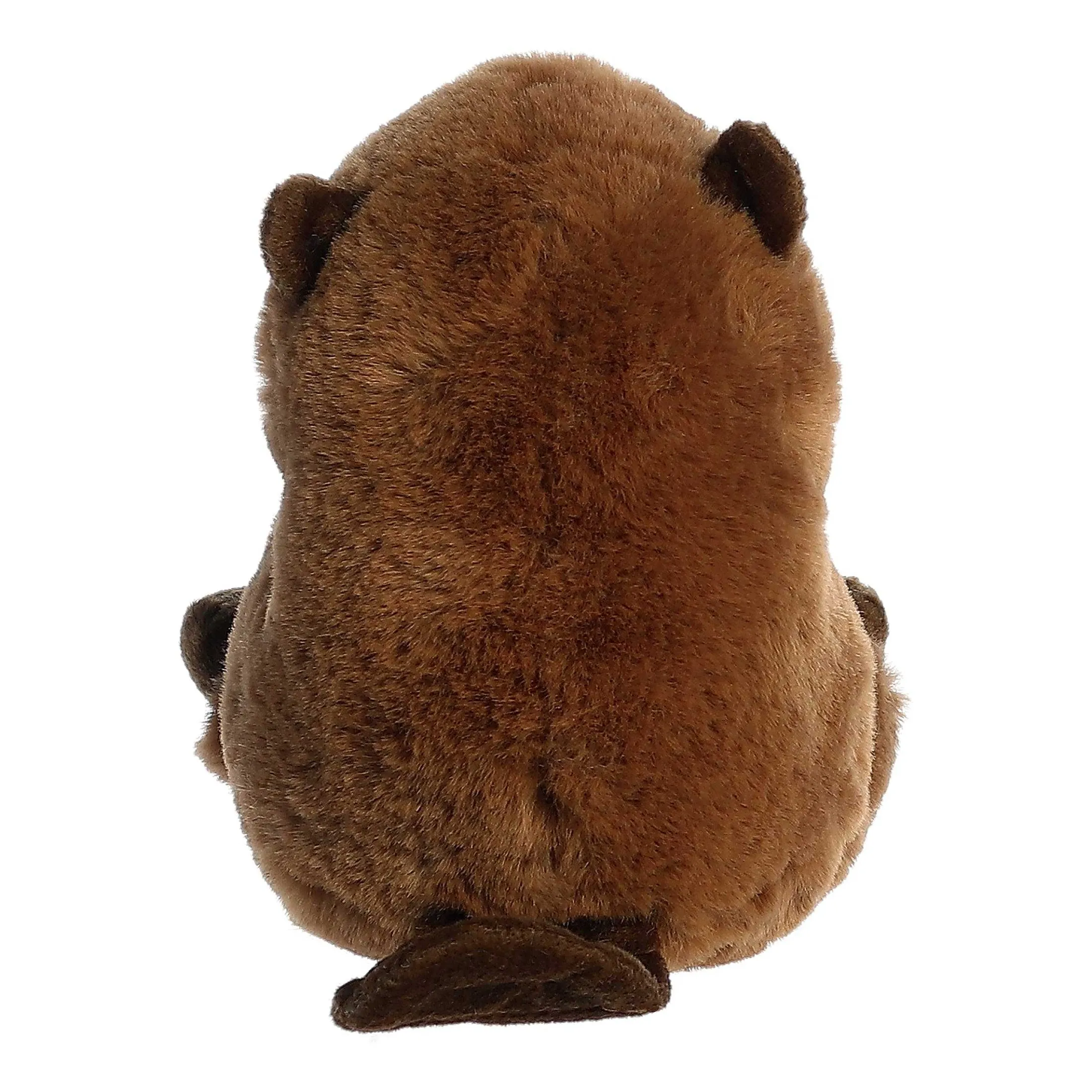 Aurora® - Rolly Pet - 5" Beethoven Beaver