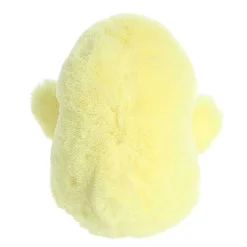 Aurora® - Rolly Pet - 5