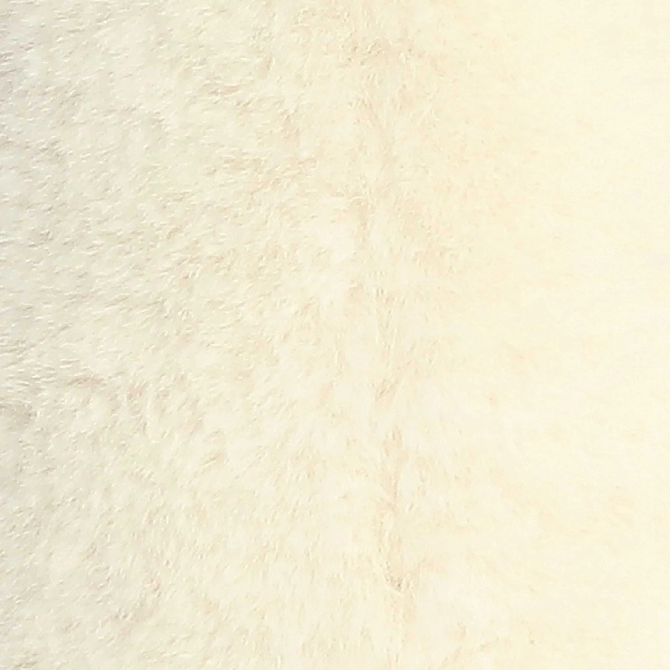 Aurora® - Spring - Brulee Bunny