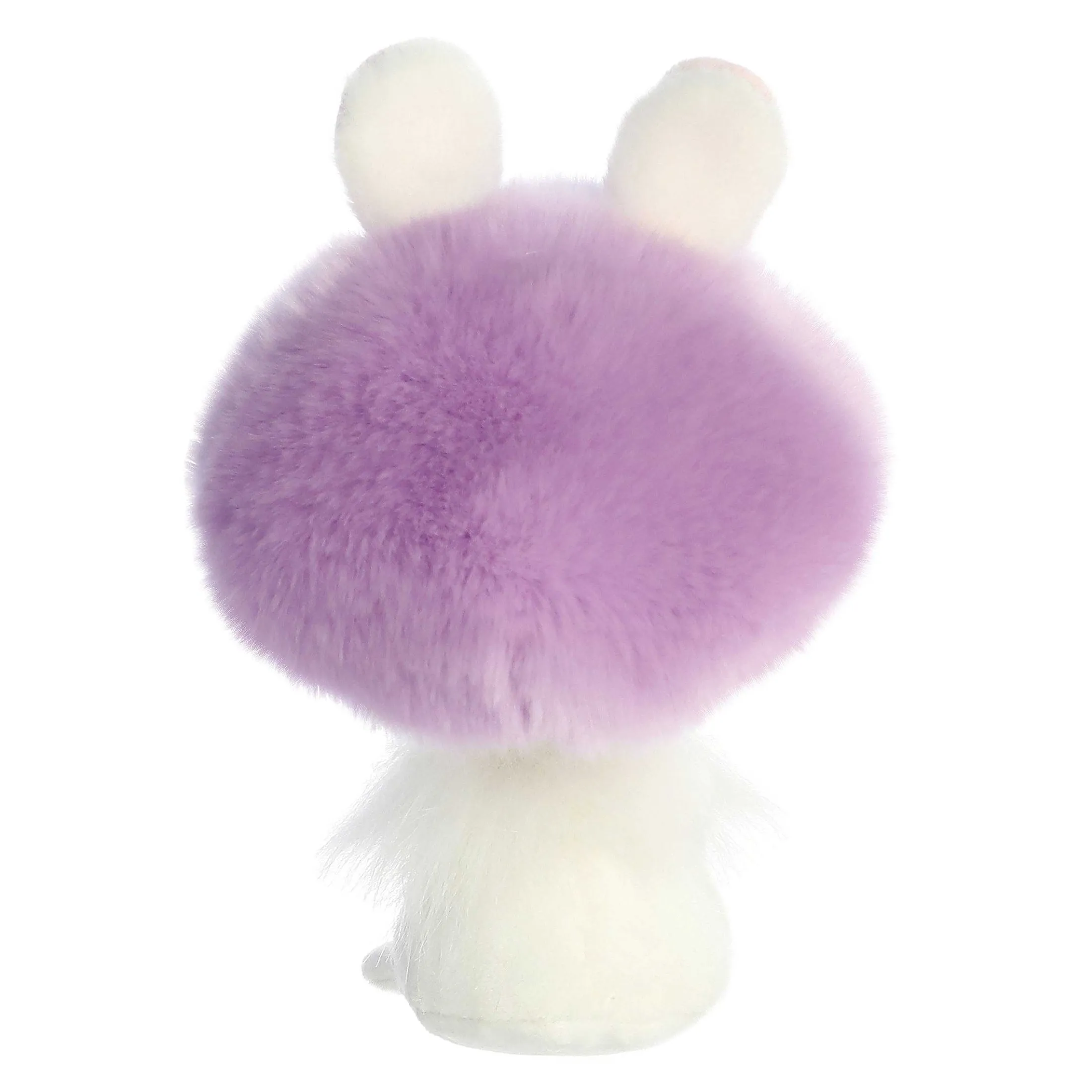 Aurora® - Spring - Fungi Friends