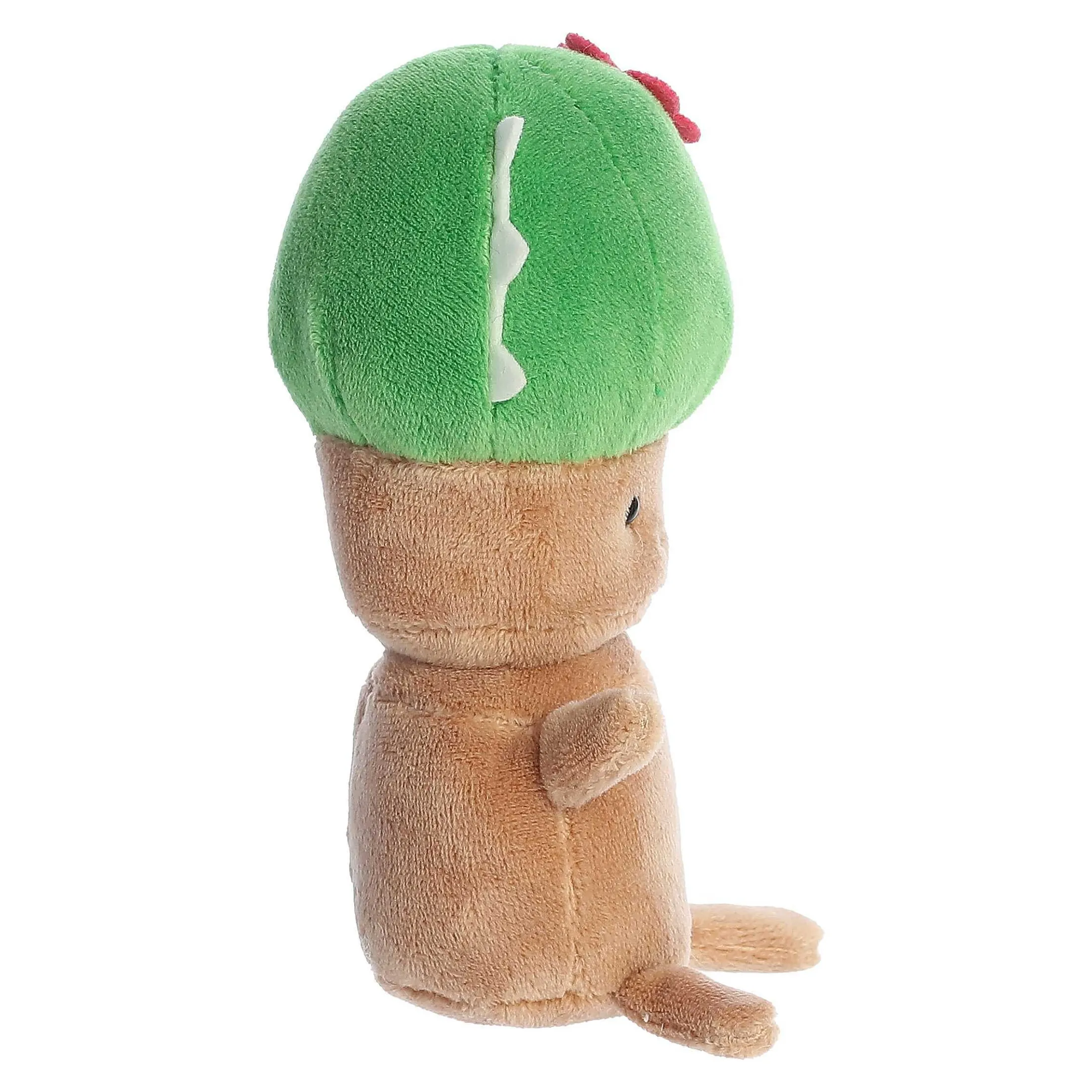 Aurora® - Spring - Land Of Lils - 5" Cactus
