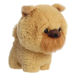 Aurora® - Teddy Pets - 7