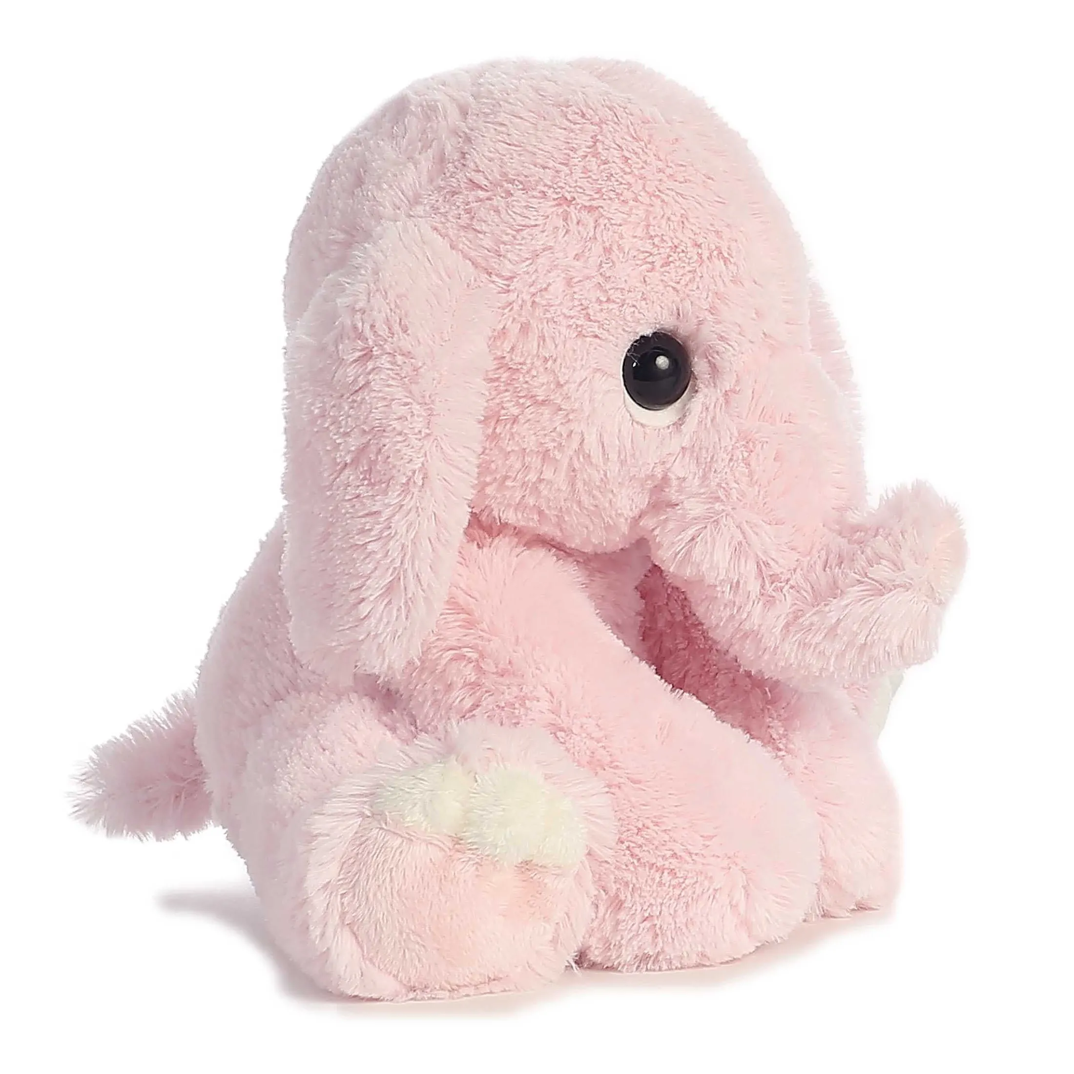Ebba - Lil Benny Phant - 10" Pink